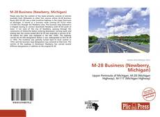 Bookcover of M-28 Business (Newberry, Michigan)