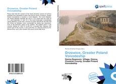 Bookcover of Drzewice, Greater Poland Voivodeship