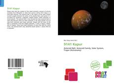 Bookcover of 9141 Kapur