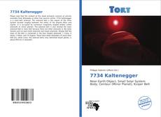 Bookcover of 7734 Kaltenegger