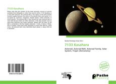 7133 Kasahara kitap kapağı