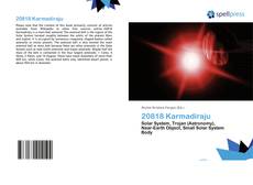 20818 Karmadiraju的封面