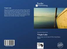 Buchcover von Virgin Lake