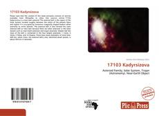 Bookcover of 17103 Kadyrsizova