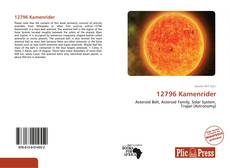 Bookcover of 12796 Kamenrider