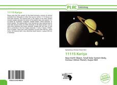 Portada del libro de 11115 Kariya