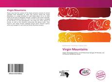 Bookcover of Virgin Mountains