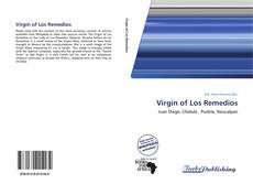 Capa do livro de Virgin of Los Remedios 