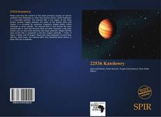 Bookcover of 22536 Katelowry