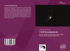 Bookcover of 11628 Katuhikoikeda