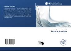 Portada del libro de Pesach Burstein