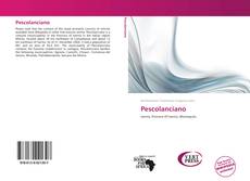 Bookcover of Pescolanciano