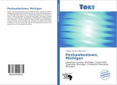 Capa do livro de Peshawbestown, Michigan 