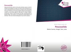 Portada del libro de Pescosolido