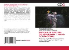 Bookcover of Sistema de gestión de seguridad y salud ocupacional