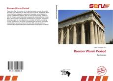 Buchcover von Roman Warm Period