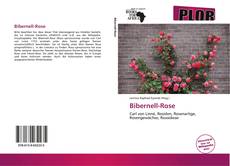 Capa do livro de Bibernell-Rose 