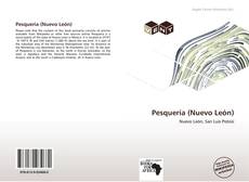 Buchcover von Pesquería (Nuevo León)