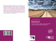 Buchcover von Bolesławin