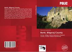 Bookcover of Borki, Biłgoraj County