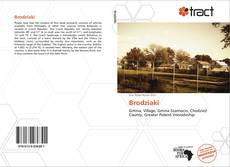 Bookcover of Brodziaki