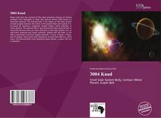 Portada del libro de 3004 Knud