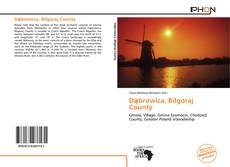 Bookcover of Dąbrowica, Biłgoraj County