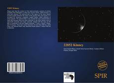 Bookcover of 22852 Kinney