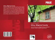 Bookcover of Gliny, Biłgoraj County