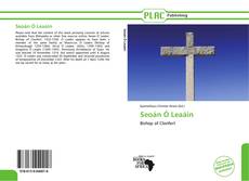 Capa do livro de Seoán Ó Leaáin 
