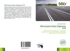 Couverture de Minnesota State Highway 313