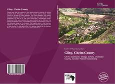 Portada del libro de Gliny, Chełm County