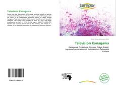 Bookcover of Television Kanagawa