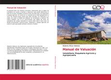 Manual de Valuación kitap kapağı