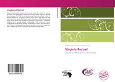 Couverture de Virginia Postrel