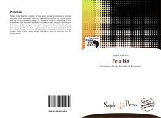 Capa do livro de Petatlán 