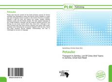 Buchcover von Petauke