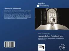 Copertina di Apostolischer Administrator