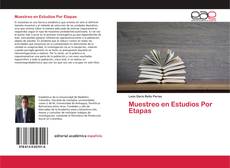 Buchcover von Muestreo en Estudios Por Etapas