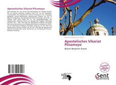 Capa do livro de Apostolisches Vikariat Pilcomayo 