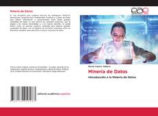 Buchcover von Minería de Datos
