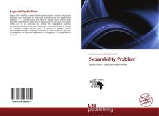 Borítókép a  Separability Problem - hoz