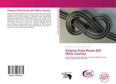 Buchcover von Virginia State Route 603 (Wise County)