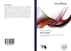 Bookcover of Bice Curiger