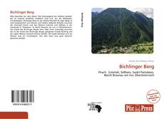 Capa do livro de Bichlinger Berg 