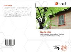 Bookcover of Czortowice