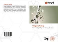 Bookcover of Virginia Valley