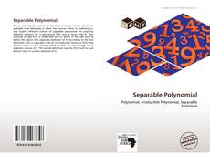 Buchcover von Separable Polynomial