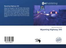 Bookcover of Wyoming Highway 345