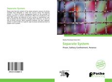 Copertina di Separate System